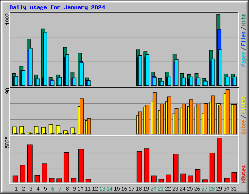 Daily usage for January 2024