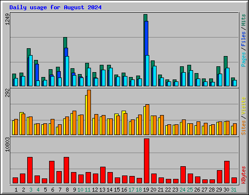 Daily usage for August 2024