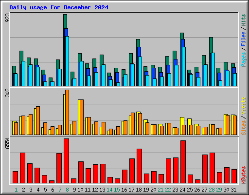 Daily usage for December 2024