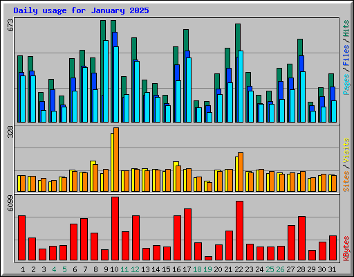 Daily usage for January 2025