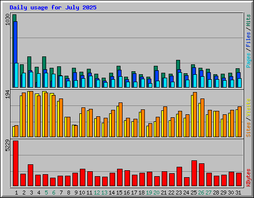 Daily usage for July 2025