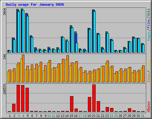 Daily usage for January 2026