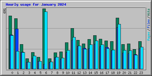 Hourly usage for January 2024
