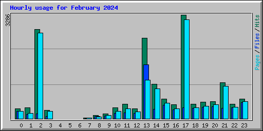 Hourly usage for February 2024