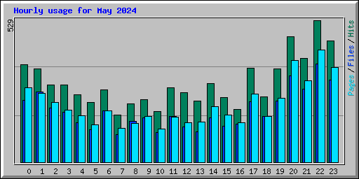 Hourly usage for May 2024