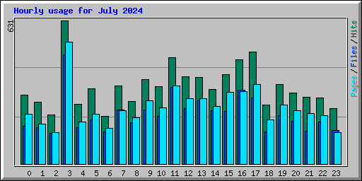 Hourly usage for July 2024