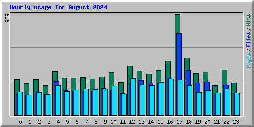 Hourly usage for August 2024