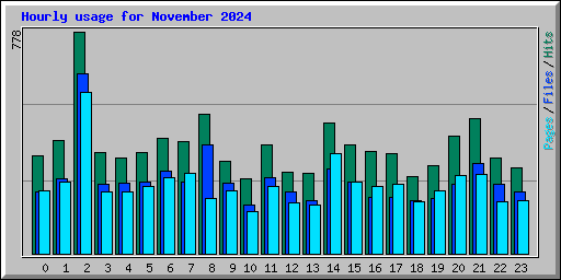 Hourly usage for November 2024