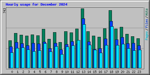 Hourly usage for December 2024