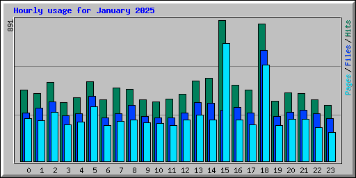 Hourly usage for January 2025