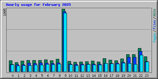 Hourly usage for February 2025