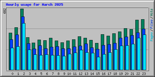Hourly usage for March 2025