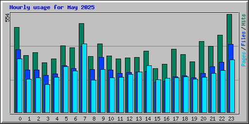 Hourly usage for May 2025