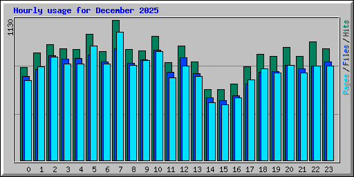 Hourly usage for December 2025