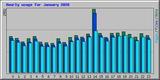 Hourly usage for January 2026