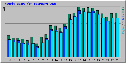 Hourly usage for February 2026