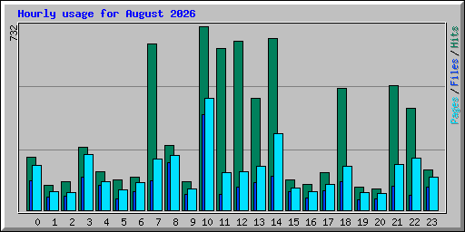 Hourly usage for August 2026